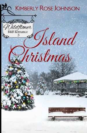 [Wildflower B&B Romance 03] • Island Christmas